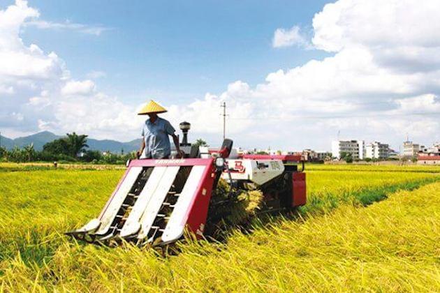 Agriculture-related loans in China now exceed $6 trillion