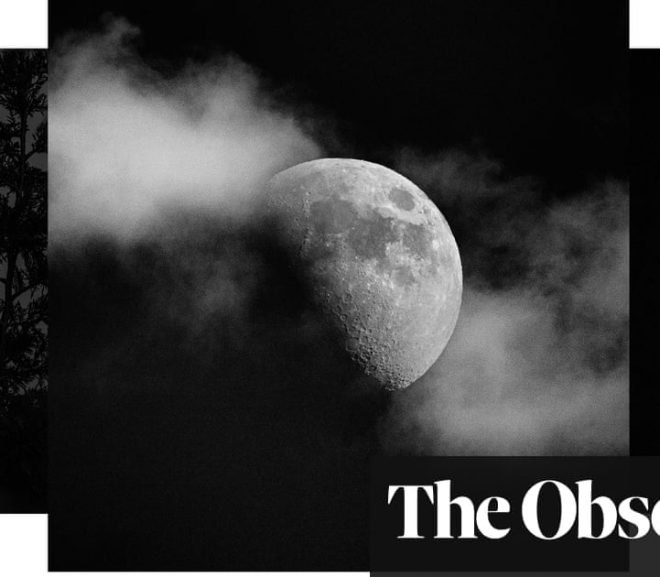 Whole of the moon: Tim Easley’s lunar photography – in pictures | Art and design | The Guardian